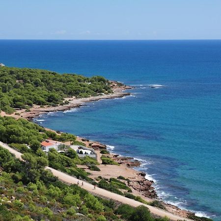 La Casa Del Pompon Appartamento Benicàssim Esterno foto